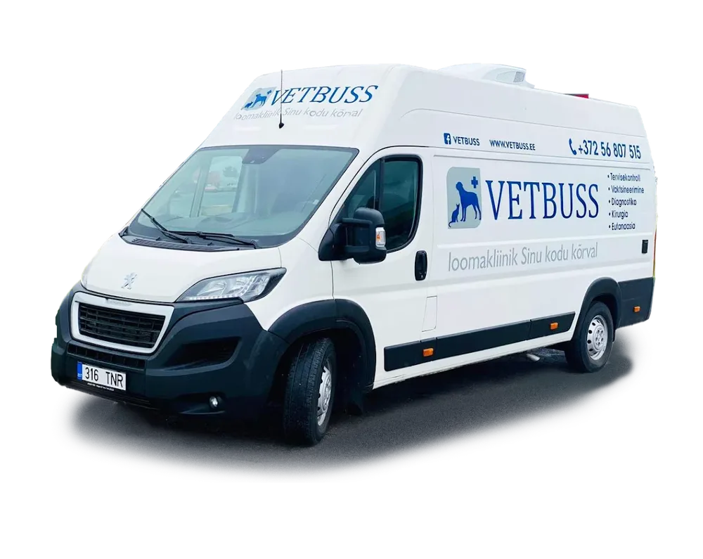 Vetbuss