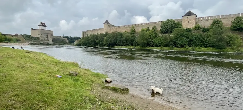 Veterinaari kliinik
